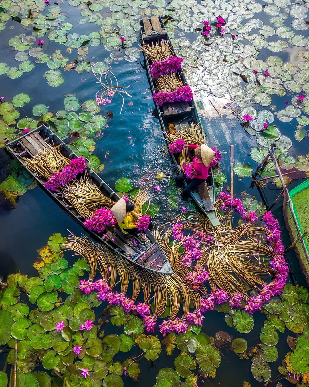 CẦN THƠ – RẠCH GIÁ